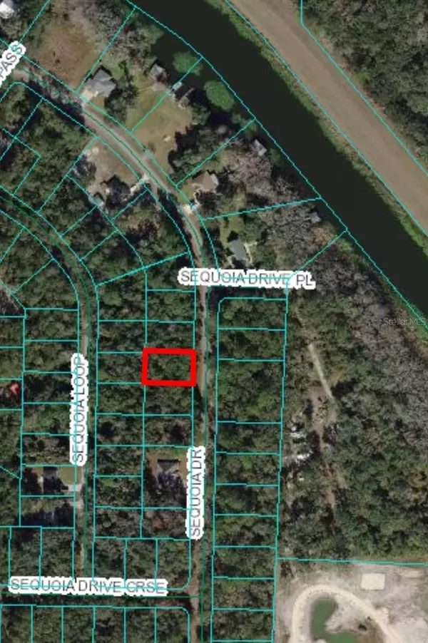 Ocklawaha, FL 32179,LOT 9 SEQUOIA DR