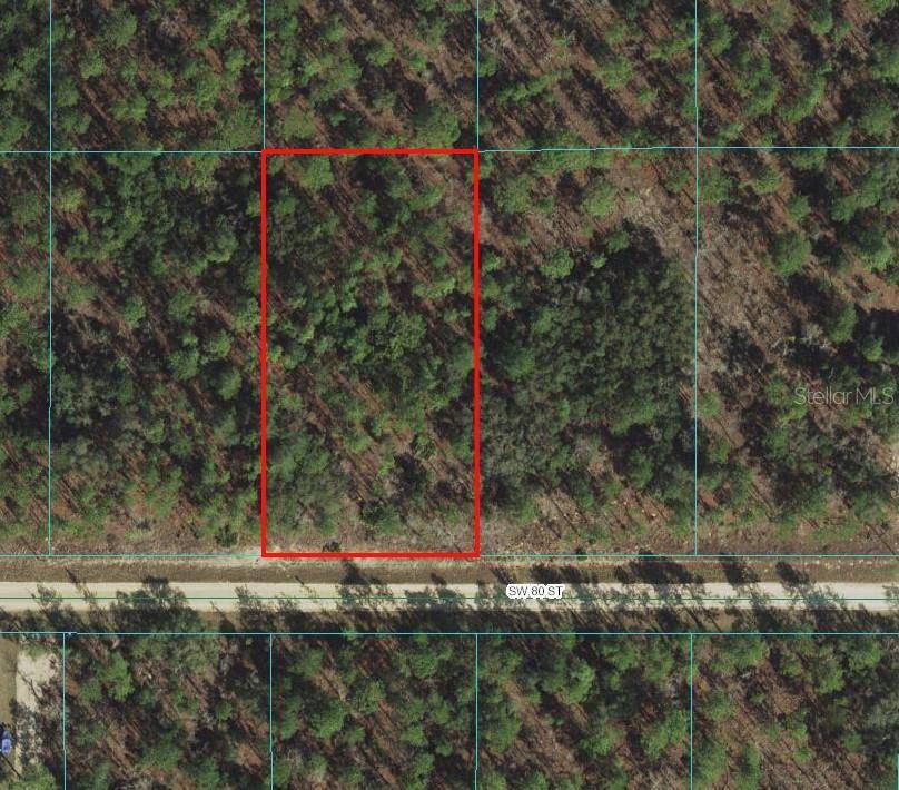 0 SW 80TH STREET, Dunnellon, FL 34432