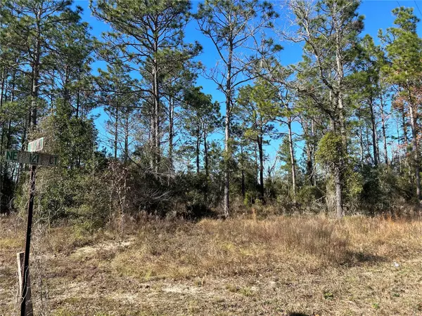 Williston, FL 32696,1930 NE 121 CT