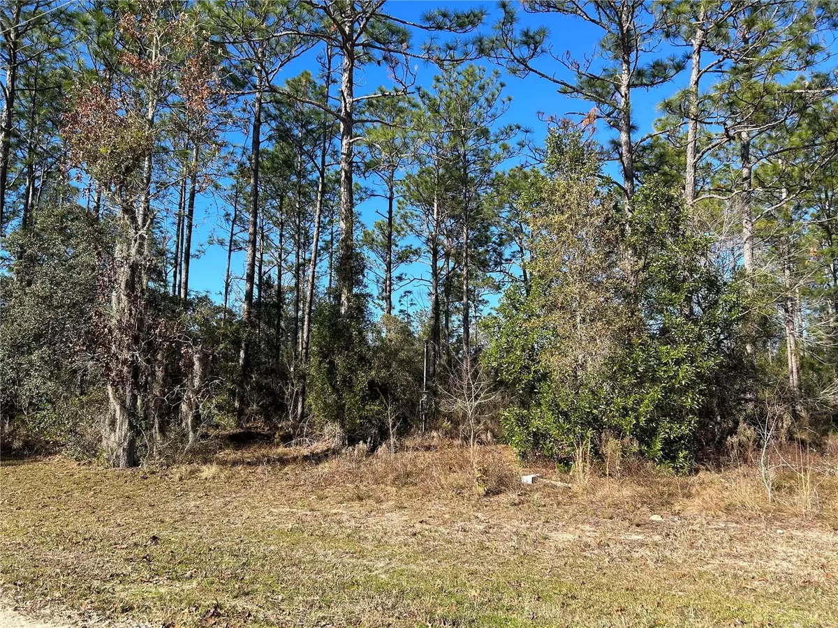 Williston, FL 32696,1930 NE 121 CT