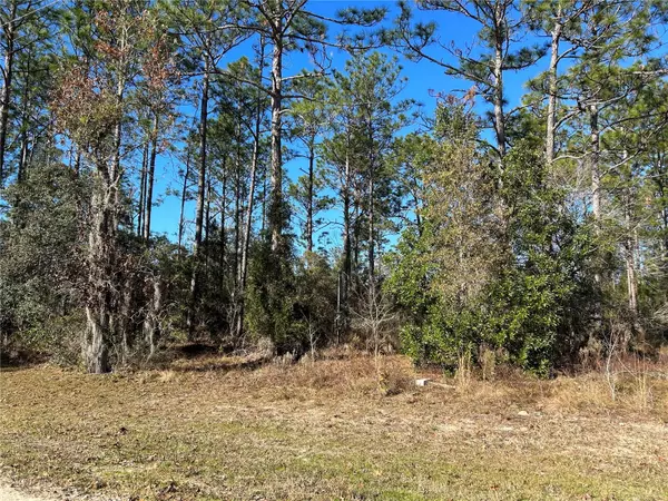 1930 NE 121 CT, Williston, FL 32696