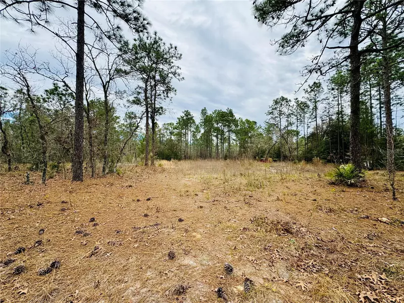 Lot 3 SW 93RD ST, Dunnellon, FL 34432