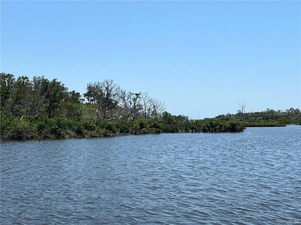 102 CARNAHANS ISLAND, Crystal River, FL 34429