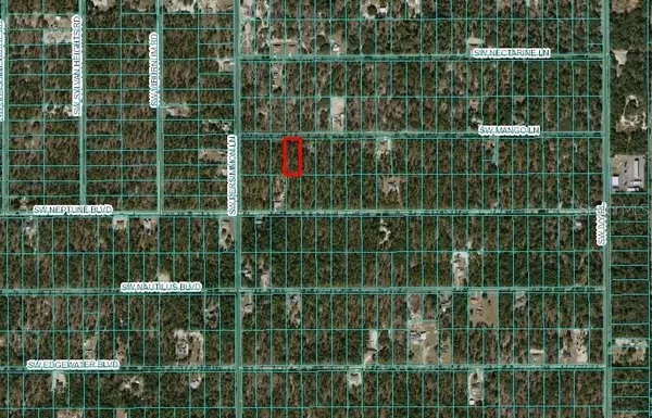 Dunnellon, FL 34431,Lot 21 SW MANGO LN