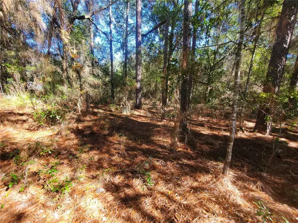 Morriston, FL 32668,14401 SE 30TH ST