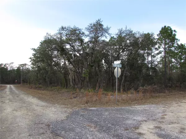 Dunnellon, FL 34431,Lot 10 SE 130TH AVE