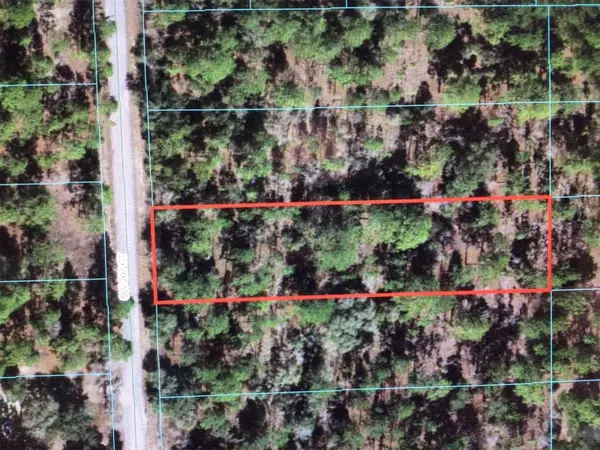 Dunnellon, FL 34431,0 SW 207TH CT