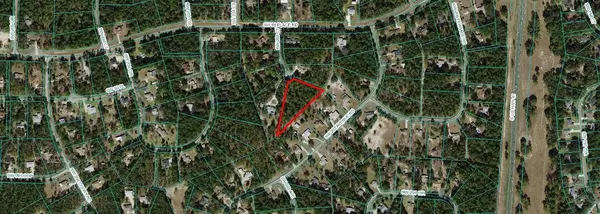 Dunnellon, FL 34431,9005 SW 203 CT