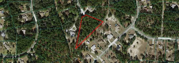 Dunnellon, FL 34431,9005 SW 203 CT