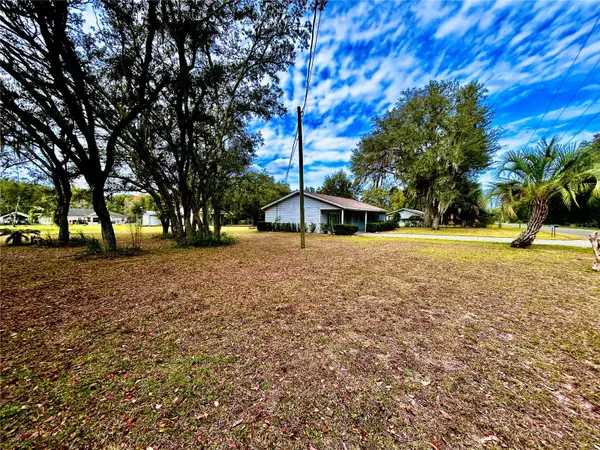 Summerfield, FL 34491,14680 SE 95TH AVE