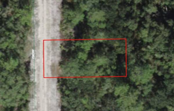 0 NE 144TH COURT, Salt Springs, FL 32134