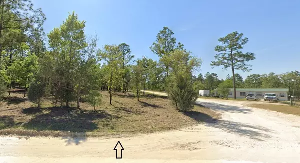 Williston, FL 32696,TBD NE 12TH ST