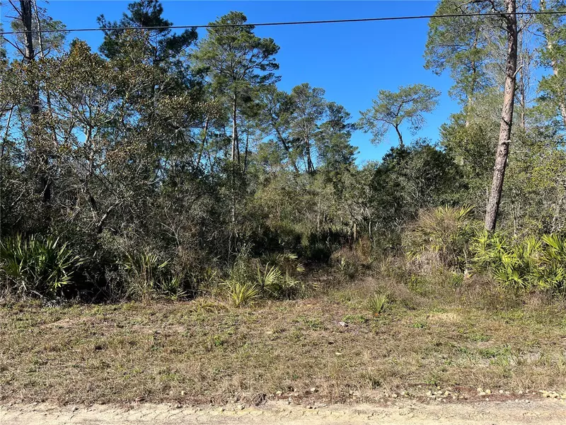 6346 N POLAR PT, Dunnellon, FL 34433