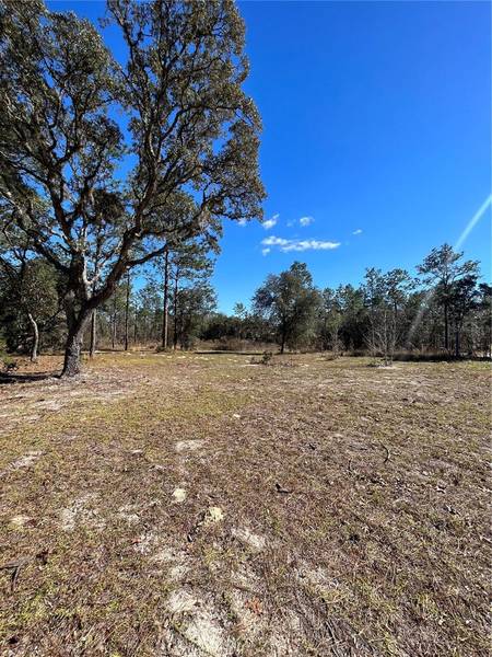 TBD SW 137TH CT, Dunnellon, FL 34432