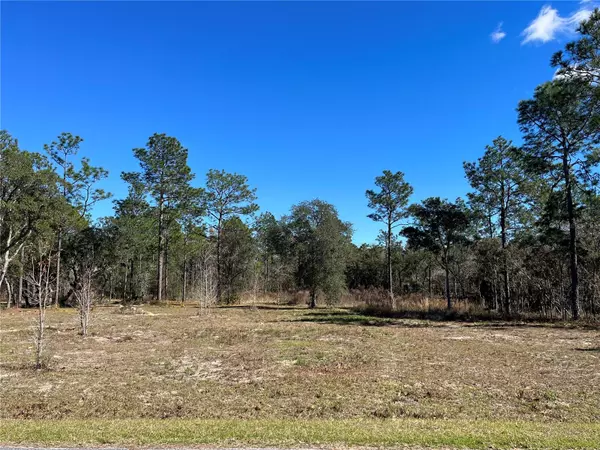 Dunnellon, FL 34432,TBD SW 137TH CT