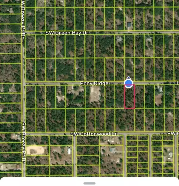 Dunnellon, FL 34431,Lot 10.11 SW PONY RIDGE DR