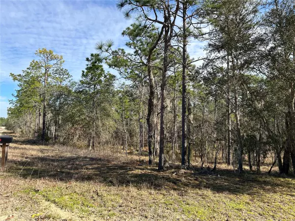 Morriston, FL 32668,TBD SE 26TH ST