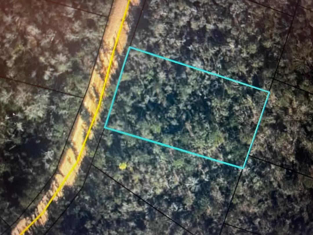 Alford, FL 32420,GRAND QUIVIERA CIR