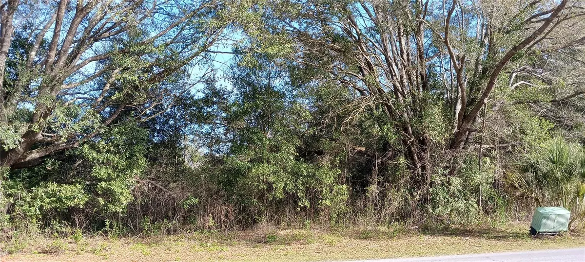 Dunnellon, FL 34431,SW RAINBOW LAKES BLVD