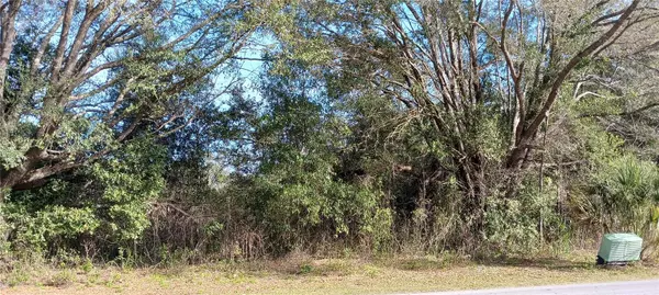 SW RAINBOW LAKES BLVD, Dunnellon, FL 34431