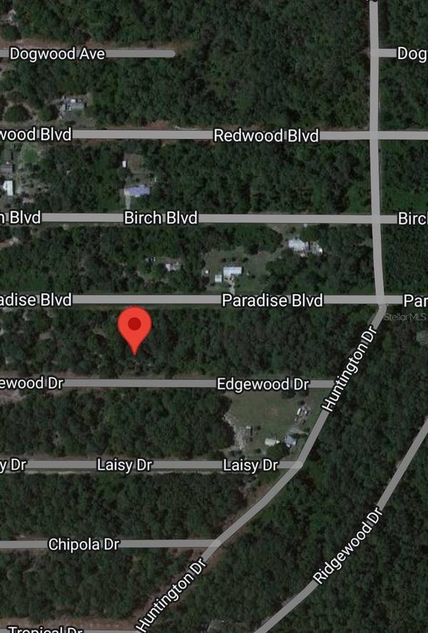 116 W EDGEWOOD DR, Georgetown, FL 32139