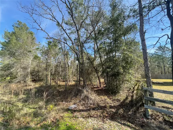 Dunnellon, FL 34432,TBD SW 125TH COURT RD #Lot 12