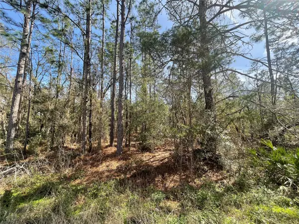 Dunnellon, FL 34432,TBD SW 125TH COURT RD #Lot 12