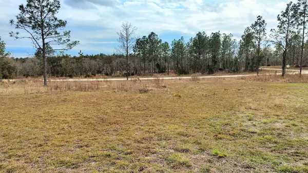 TBD NE 4TH ST, Williston, FL 32696