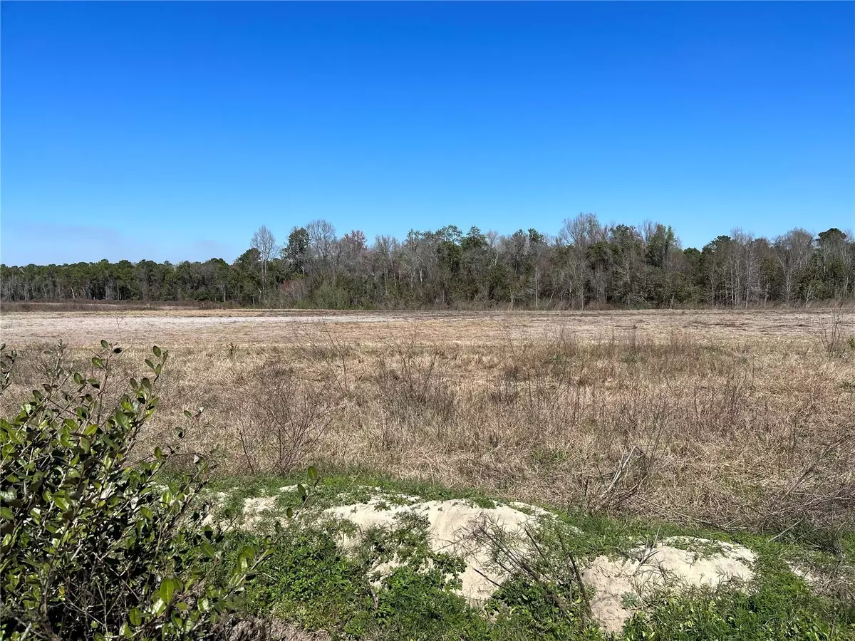 Fort Mc Coy, FL 32134,LOT 5A E HWY 318