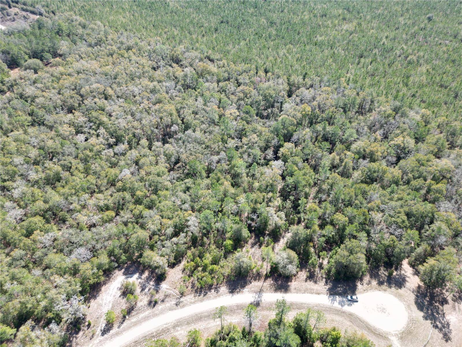 TBD SW DIG CT, Fort White, FL 32038