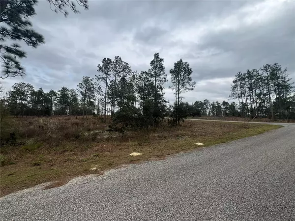 Dunnellon, FL 34431,TBD SE 139TH CT