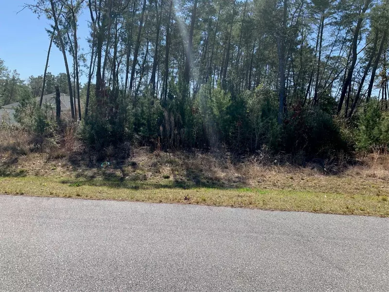 0 SW 113 PL, Ocala, FL 34476