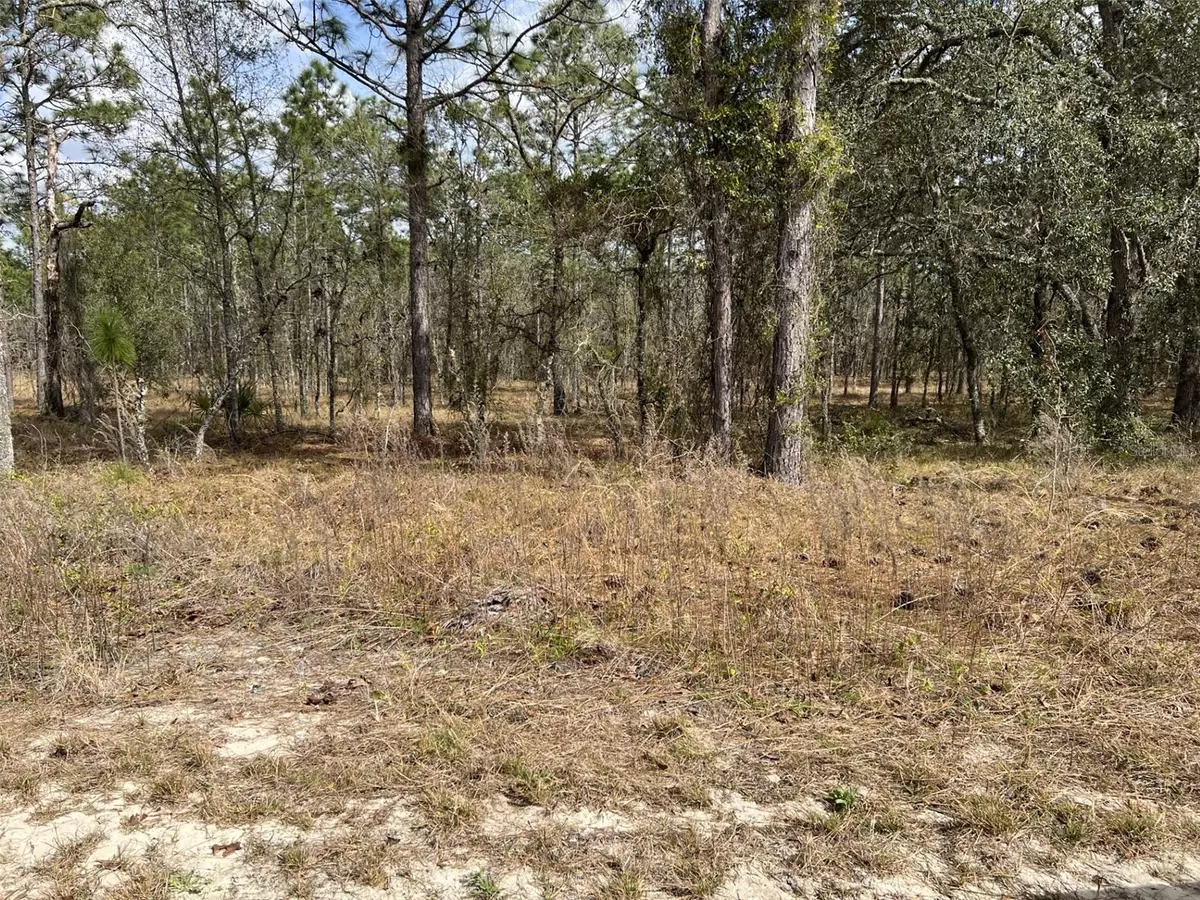 Dunnellon, FL 34431,SW LITTLE CLIFFS DR