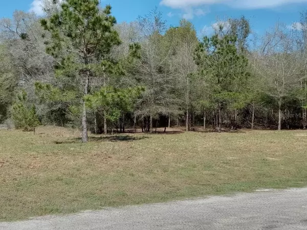 941 E DELLBROOK LN, Citrus Springs, FL 34434
