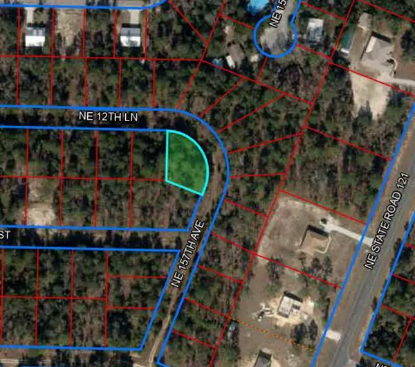 Williston, FL 32696,tbd NE 12TH LANE & 157TH TER