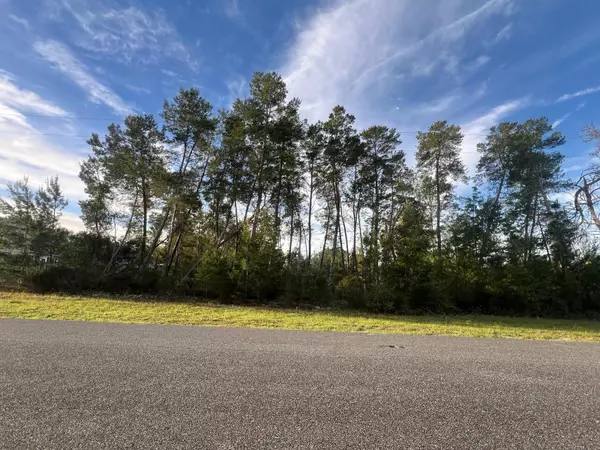 Ocala, FL 34476,00 SW 110 LN