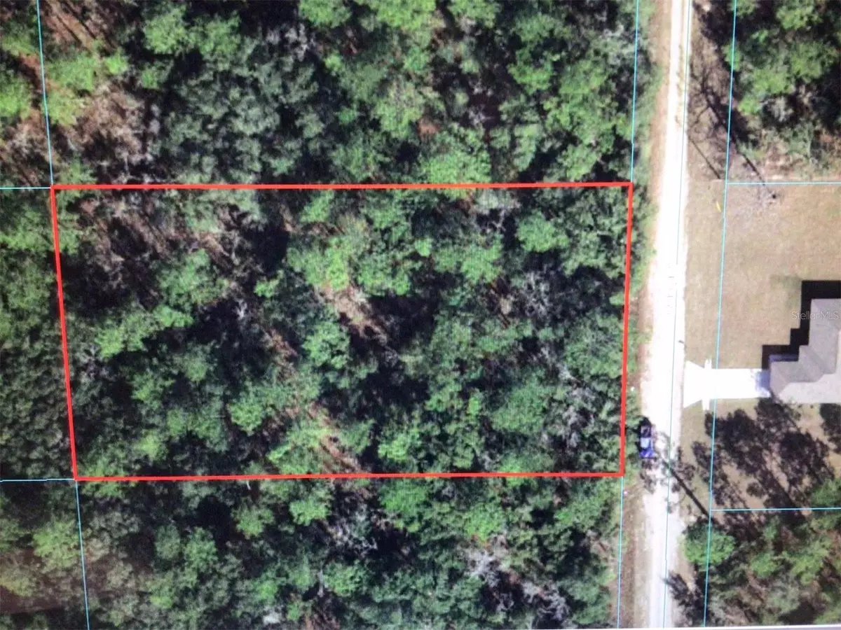 Dunnellon, FL 34432,0 SW 128TH TER