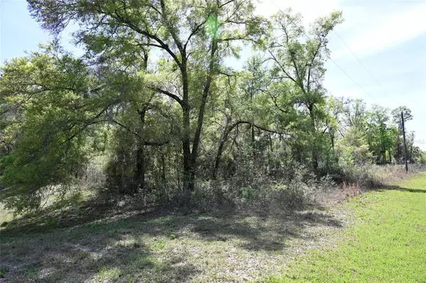 Ocala, FL 34481,TBD SW 61ST  PLACE ROAD