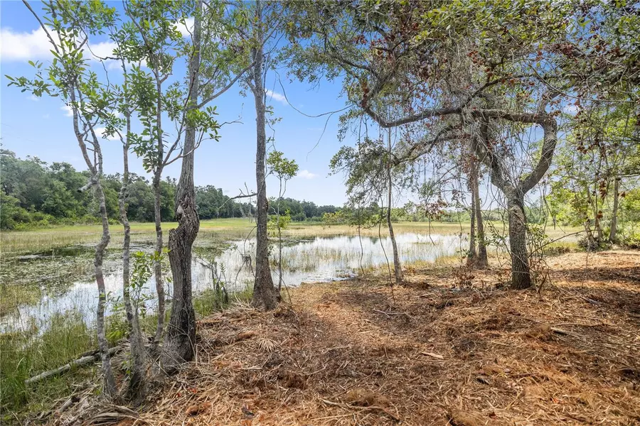 TBD SE 170TH AVE RD, Ocklawaha, FL 32183