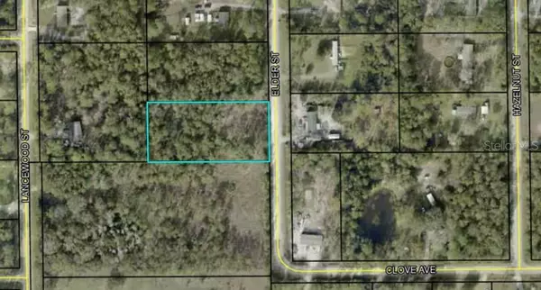 2376 ELDER ST, Bunnell, FL 32110