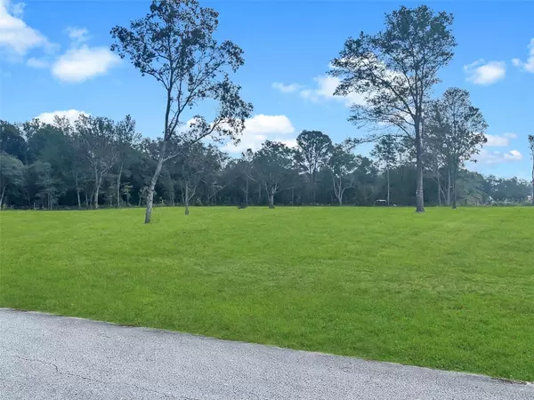 Morriston, FL 32668,TBD SE 194TH CT