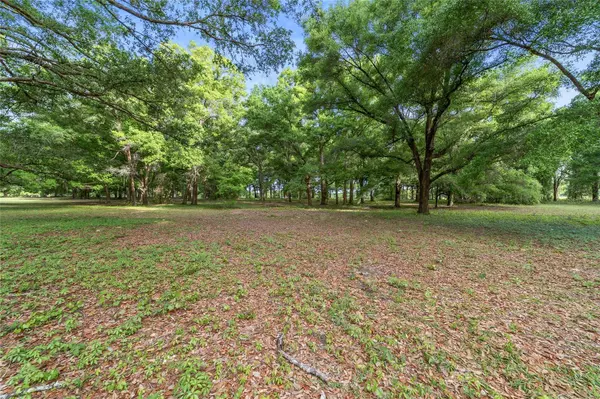 Citra, FL 32113,Lot 10 NE 141 ST