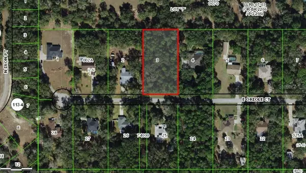 1101 E ORIOLE CT,  Hernando,  FL 34442