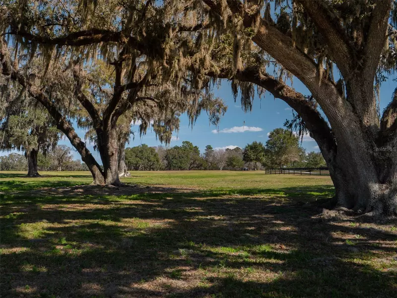 11959 NW HIGHWAY 464B, Ocala, FL 34482