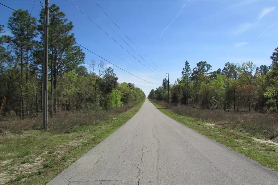 Lot 7 NW BUENA VISTA RD, Dunnellon, FL 34431