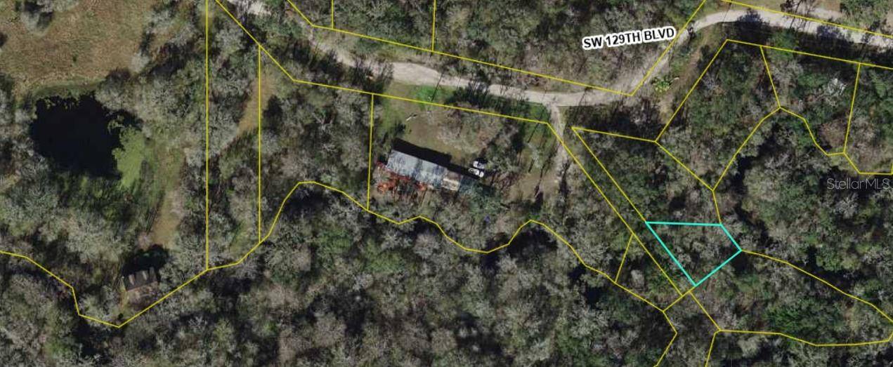 00 SW 129TH BLVD, Webster, FL 33597