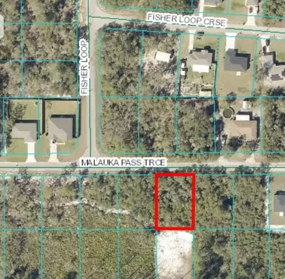 Lot 17 MALUAKA PASS TRCE, Ocklawaha, FL 32179