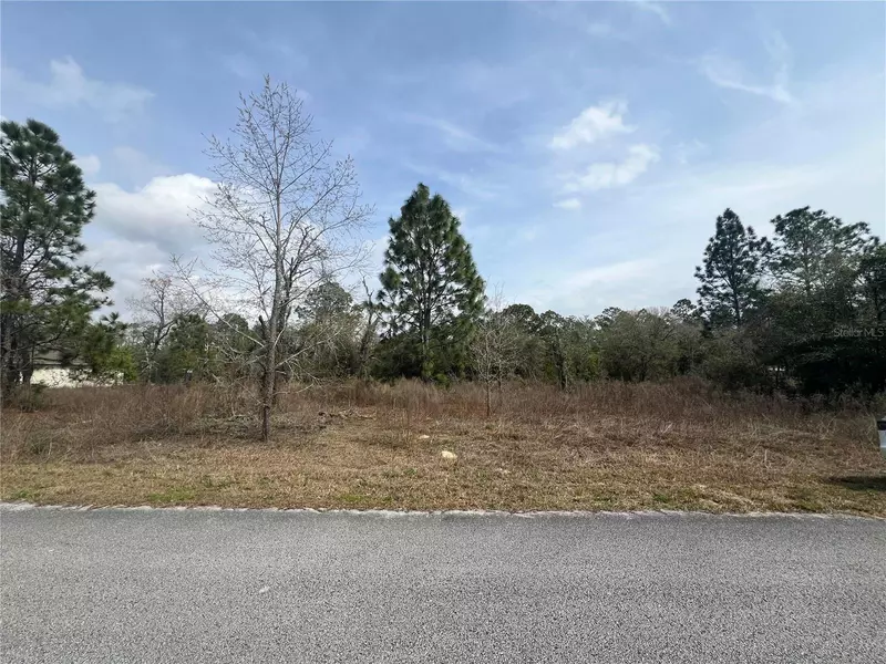 TBD SW EVERGREEN CT, Dunnellon, FL 34431