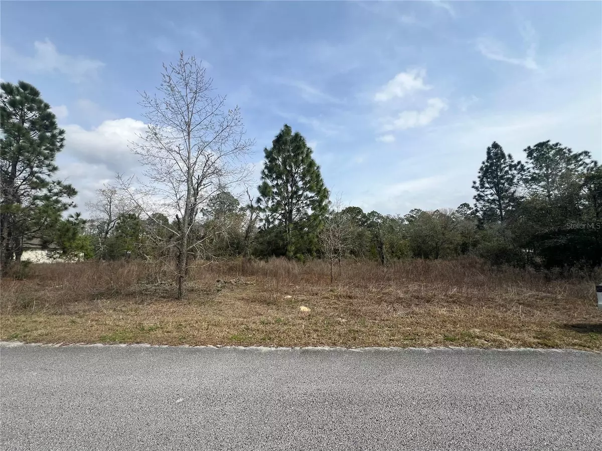 Dunnellon, FL 34431,TBD SW EVERGREEN CT