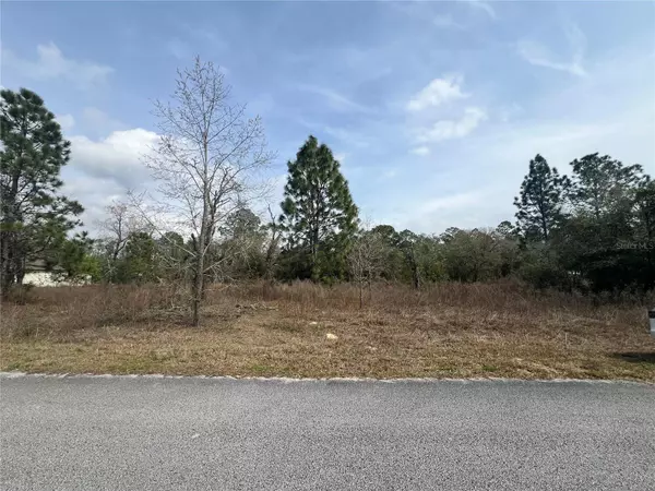 Dunnellon, FL 34431,TBD SW EVERGREEN CT